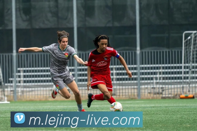 多媒体互动体验